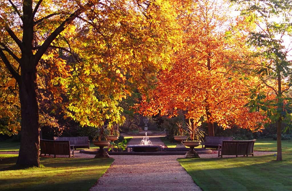 Leuke klusjes tijdens de herfst