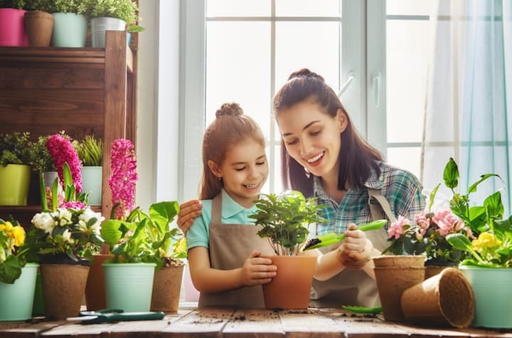 Wanneer kun je het best planten?