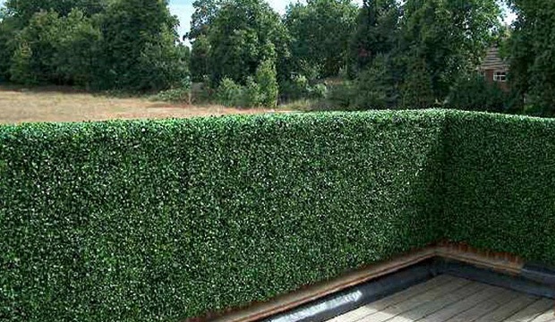 Moderne Buxus kunsthaag