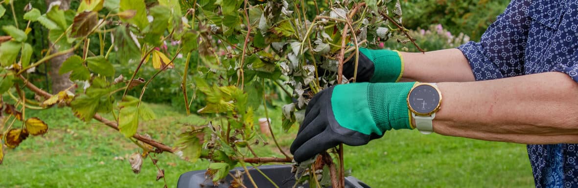 Van idee tot realiteit: huur de machines voor tuinperfectionisten